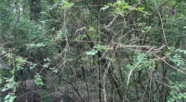 Photo of 0 Pickens St, Savannah, GA 31405