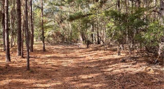 Photo of 0 Leola Rd, Newington, GA 30446