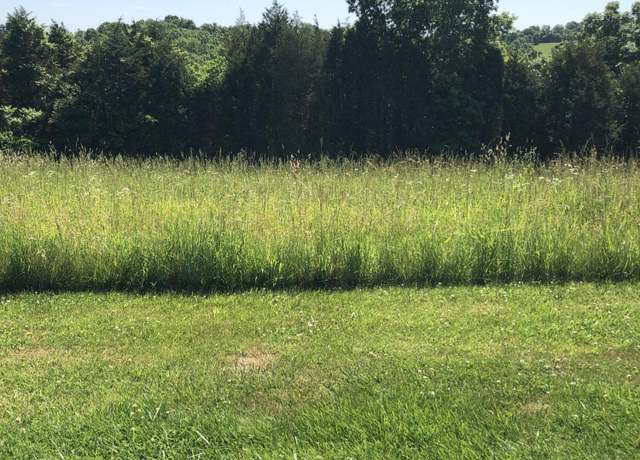 Property at Lot 9A Adalin Dr, Demossville, KY 41033