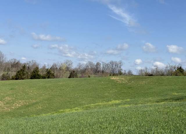 Property at 16 acres Lightfoot Fork Rd, Falmouth, KY 41040