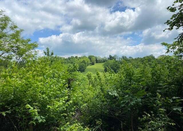 Property at 2864 Milford Rd, Falmouth, KY 41040
