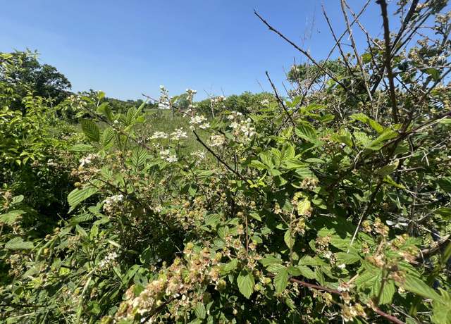 Property at 16 Ez St, Dry Ridge, KY 41035