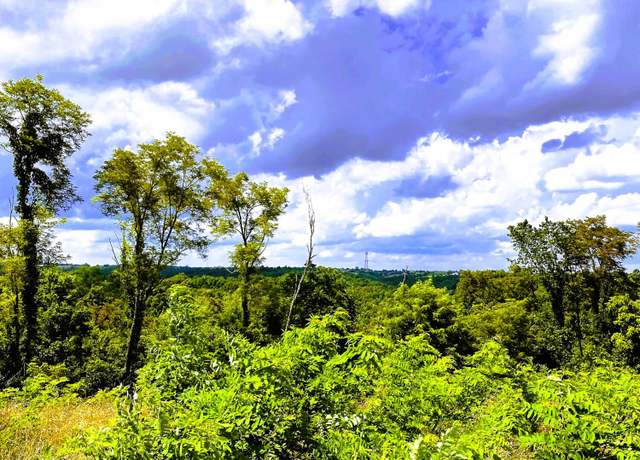 Property at 5 Ac Oak Ridge Rd Unit Parcel A, Williamstown, KY 41097