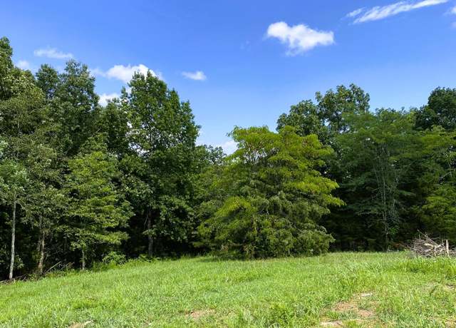 Property at 15 AC Hwy 22 Tract 2, Williamstown, KY 41097