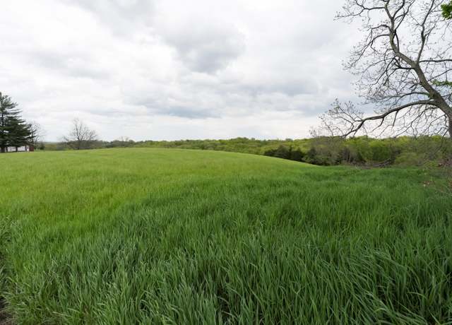 Property at 6.9 acres Jagg Rd, Demossville, KY 41033