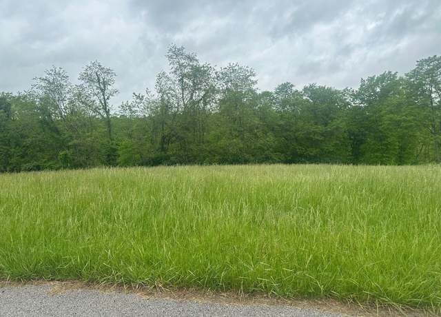 Property at 0 Michaels Ln #48, Brooksville, KY 41004