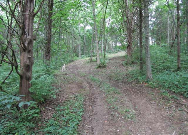 Property at 11.5 Acres Osborne Rd, Dry Ridge, KY 41035