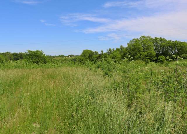 Property at 5.01 Acres Menefee Rd, Crittenden, KY 41030