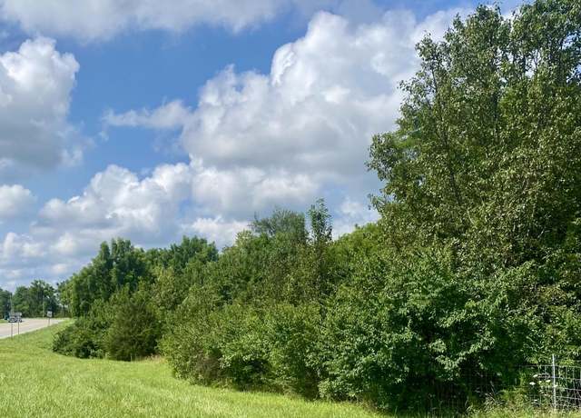 Property at 0.55 AC N Main St, Williamstown, KY 41097