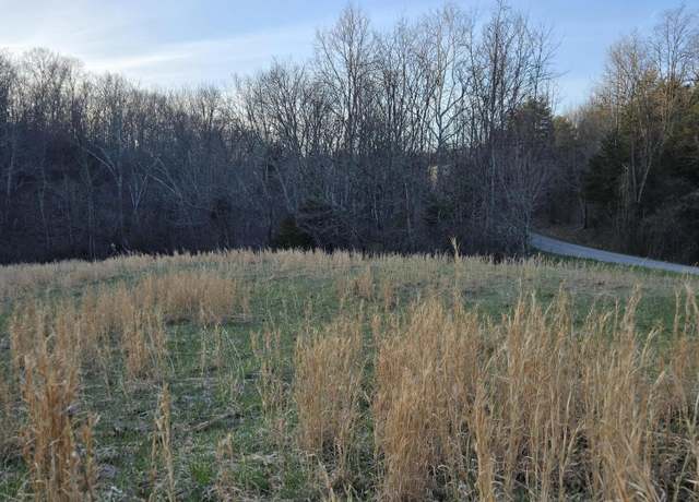 Property at Tract 1 Pleasant Grove Rd, Corinth, KY 41010