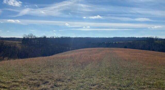 Photo of 2775 Bridgeville Rd, Brooksville, KY 41004