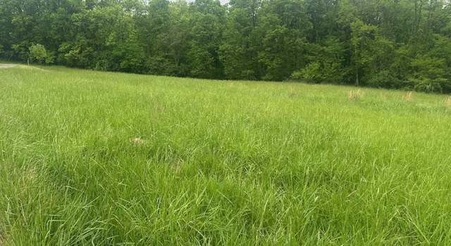 Photo of 0 Michaels Ln #46, Brooksville, KY 41004
