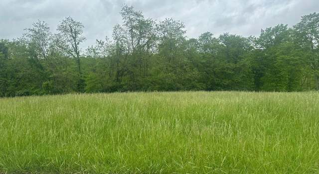 Photo of 0 Michaels Ln #48, Brooksville, KY 41004