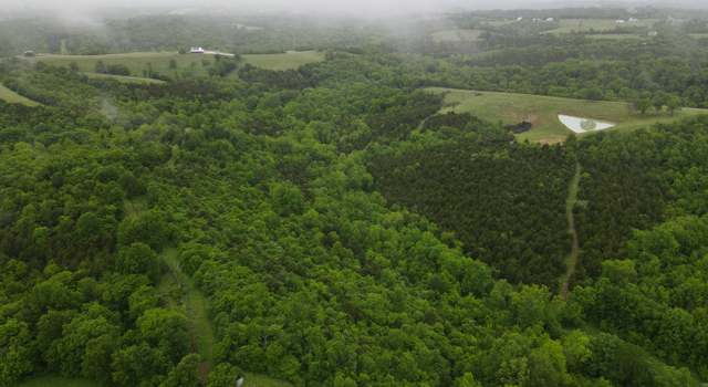 Photo of 138 Acres Cooper Ln, Brooksville, KY 41004