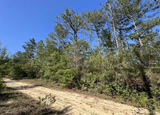 Property at 0 Clearwater Dr, FL 32433