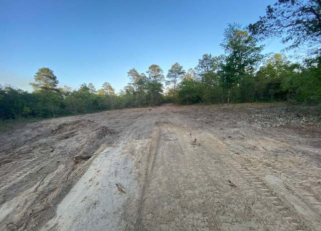 Property at TBD J W Hollington Rd, Freeport, FL 32439