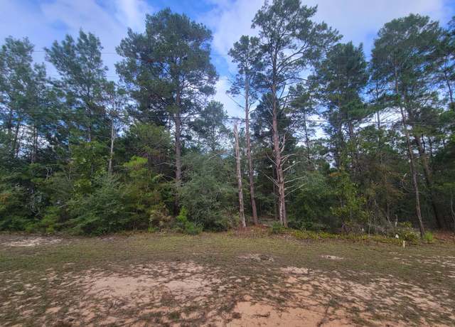 Property at Lot 6 & 14 W May Lilly Ct, FL 32433