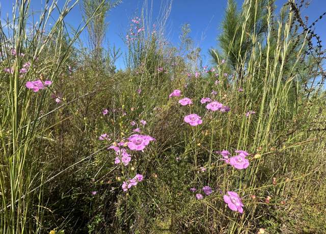 Property at Parcel H Millside Rd, Laurel Hill, FL 32567