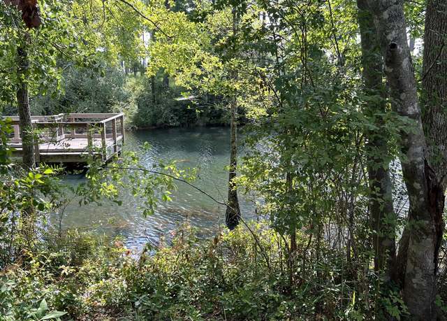 Property at Lot 1 Marsh Lndg S, Freeport, FL 32439