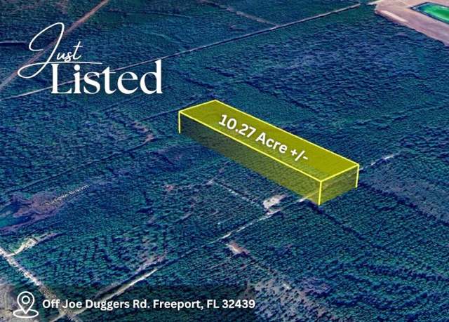 Property at 0 Joe Dugger Rd, Freeport, FL 32439