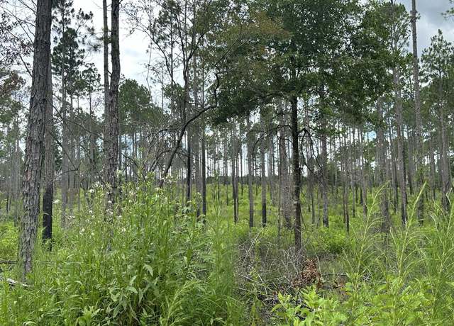 Property at TBD Hwy 602 Unit 10AC+/-, Laurel Hill, FL 32567