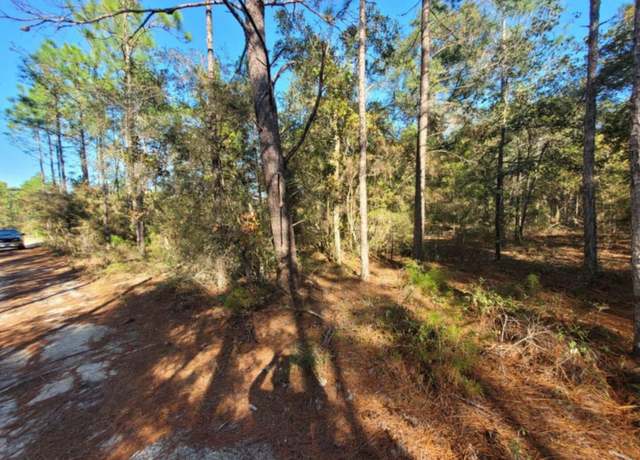 Property at Lot 10 Blk 20 English Holly Ln, FL 32433