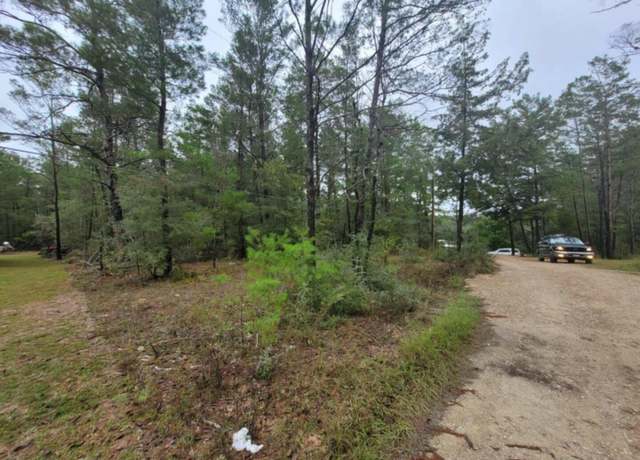 Property at Lot 2 Blk 101 E. Bluebottle Ct, FL 32433
