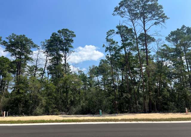 Property at 219 Foxglove Run, Niceville, FL 32578
