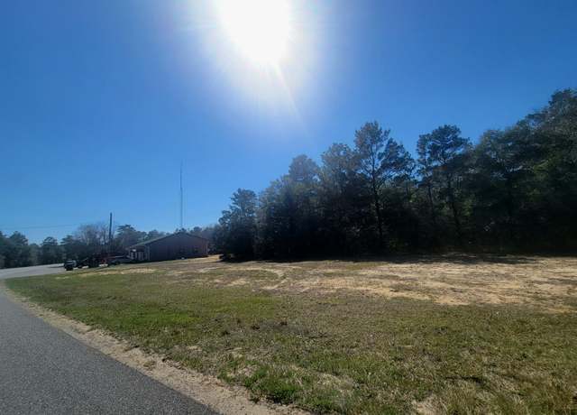 Property at 9.79 acres Co Highway 1087, FL 32433