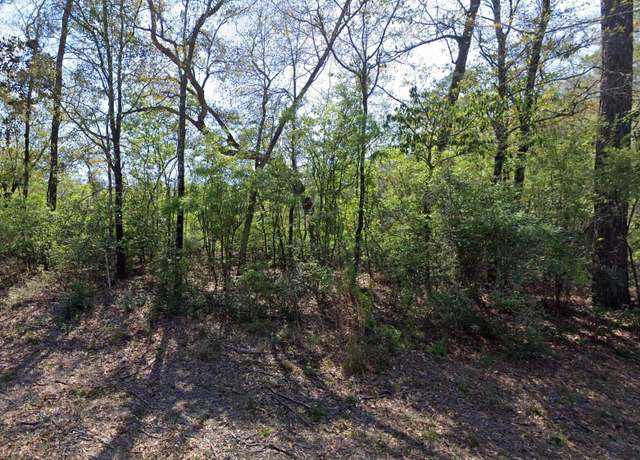 Property at 0 Yellow River Log Lake Rd, Holt, FL 32564