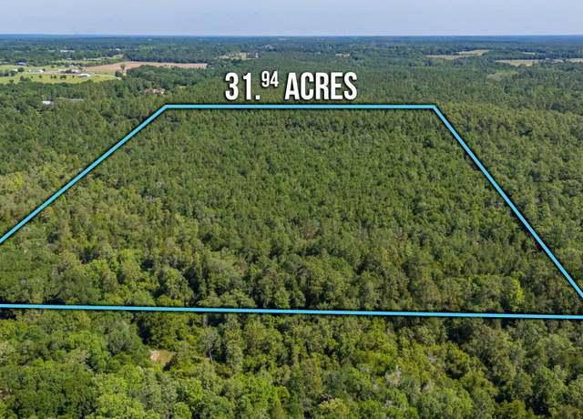 Property at 31 acres Canyon Trl, Baker, FL 32531