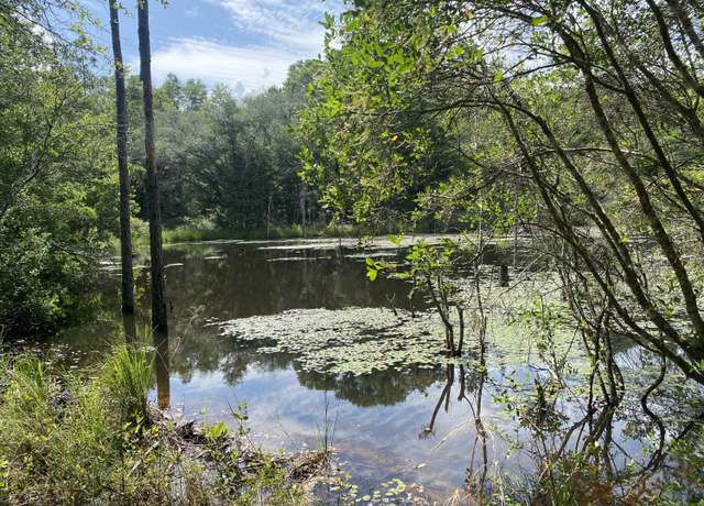 Property at 20 acres Canyon Trl, Baker, FL 32531