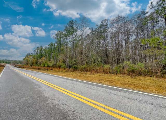 Property at Tract#6409 NE River Rd, Caryville, FL 32427