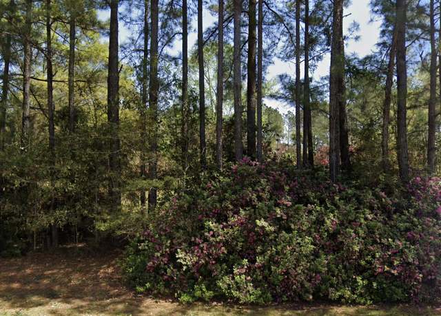 Property at 8185 Creston Barrow Rd, Baker, FL 32531