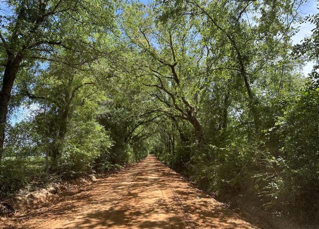 Property at 92+/- ac Frost Ln, Laurel Hill, FL 32567
