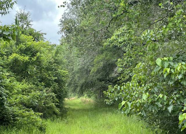 Property at 80 AC Frost Ln, Laurel Hill, FL 32567