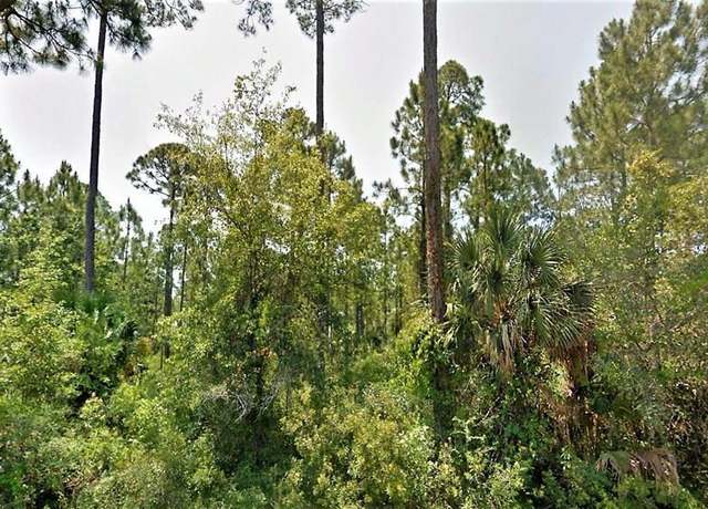 Property at 14 CR 30-A, Port St. Joe, FL 32456
