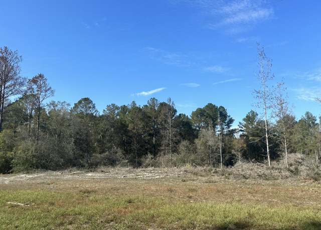Property at Tract#6201 W County Hwy 181 Unit Nat B-01, FL 32433