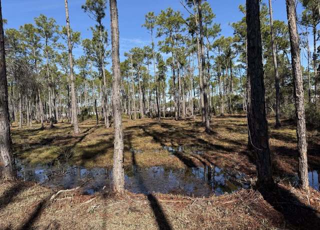 Property at Lot 5 Foxmire Farm Rd, Santa Rosa Beach, FL 32459