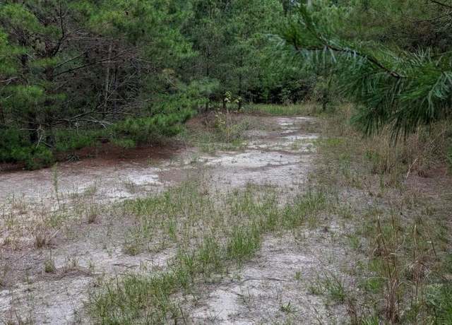 Property at TBD Chief Bragg Dr, Freeport, FL 32439