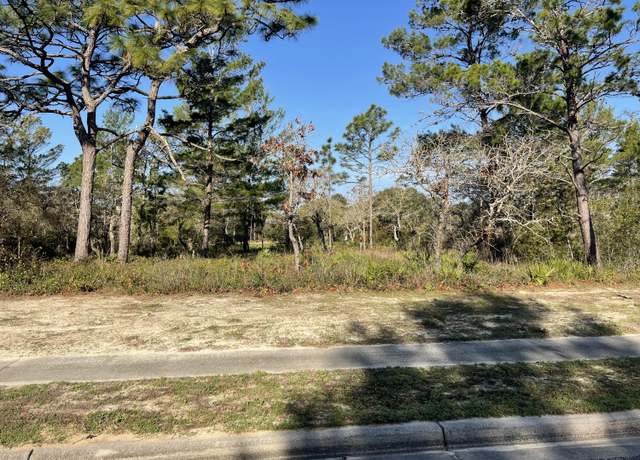 Property at 131 Laughing Gull Ln, Carrabelle, FL 32322