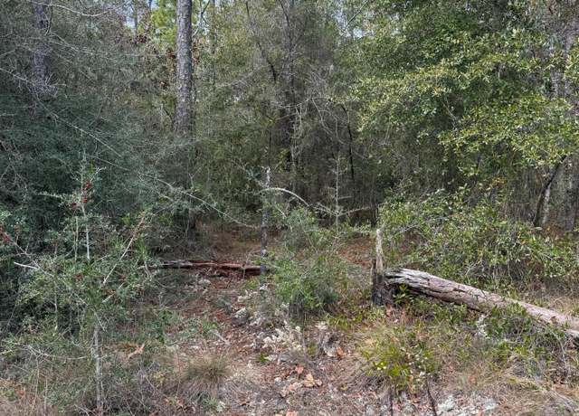 Property at Lot 23 Sundance Rd, FL 32435