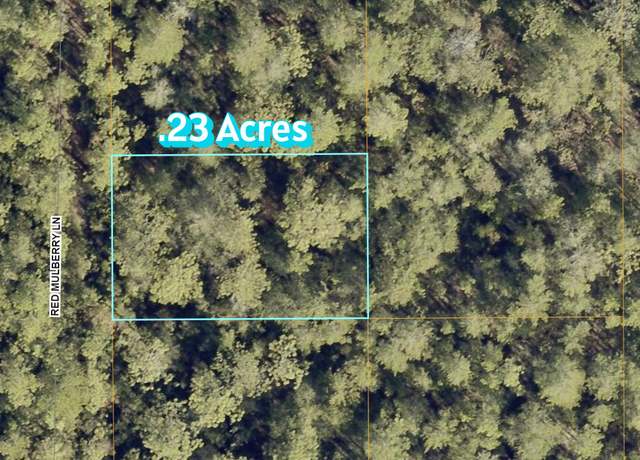 Property at Lot 9 Red Mulberry Ln, FL 32433