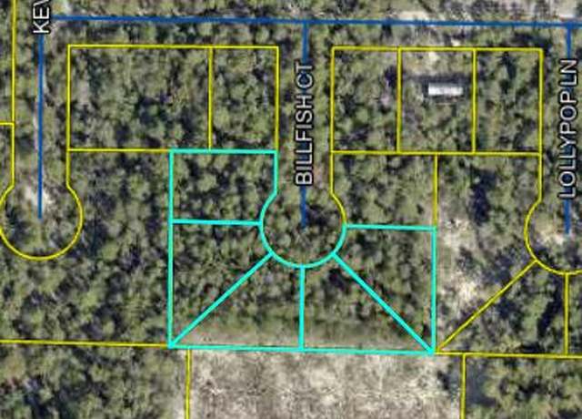 Property at TBD Billfish Ct, FL 32433