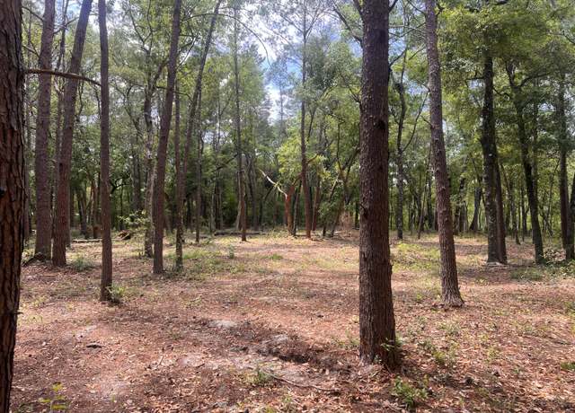 Property at TBD Old Jolly Bay Rd, Freeport, FL 32439