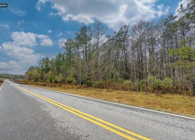 Property at Tract#6409 NE River Rd, Caryville, FL 32427