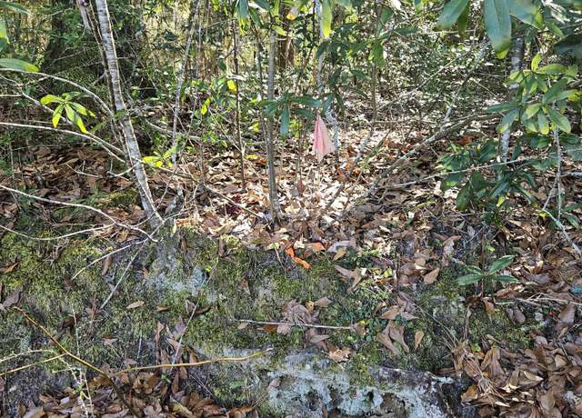 Property at Lot 4 BlkD Sellers Dr, Opp, AL 36467