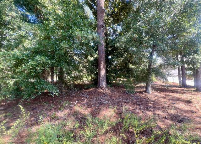 Property at TBD Buck Rd, Santa Rosa Beach, FL 32459