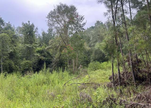 Property at 1558 John Eddy Ln, Ponce De Leon, FL 32455