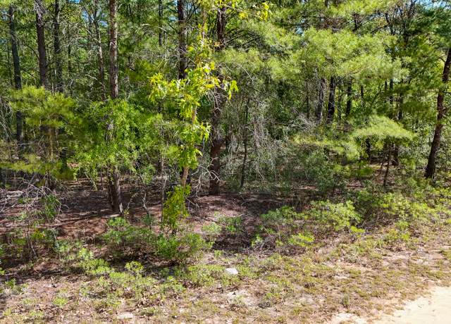 Property at .98 Acre Margaret Blvd, FL 32433